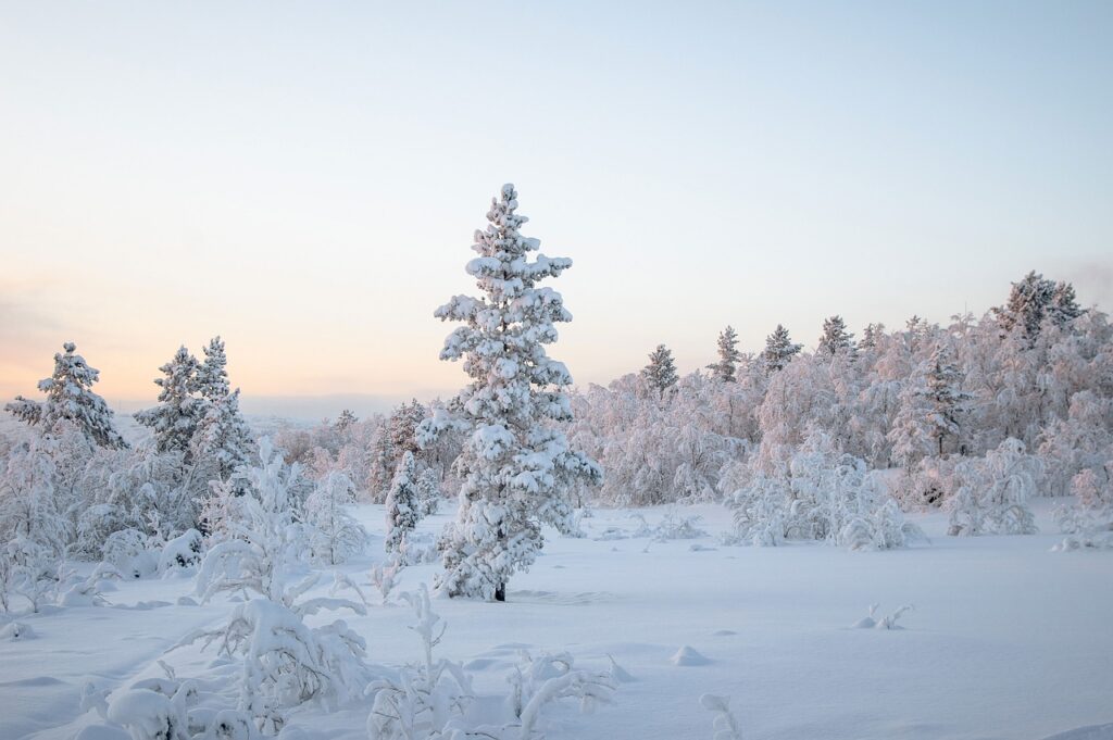 winter, landscape, snow-4682051.jpg